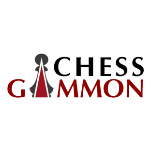 Winner Supplied Image - Chessgammon